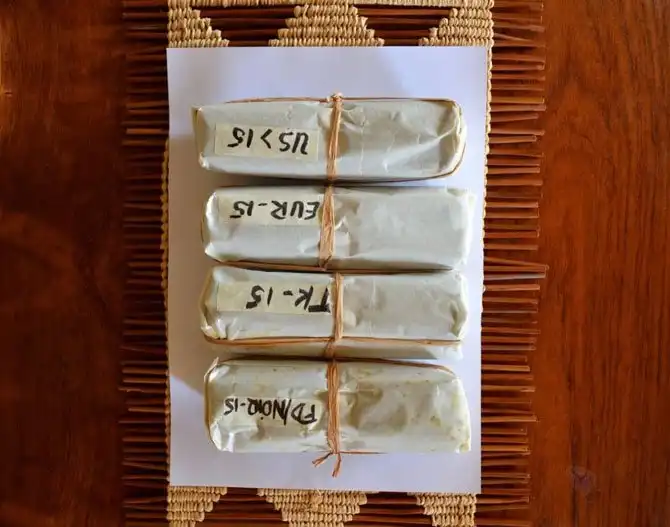 Как выращивают ваниль на Мадагаскаре