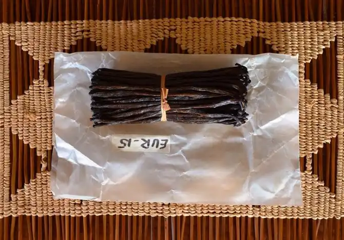 Как выращивают ваниль на Мадагаскаре