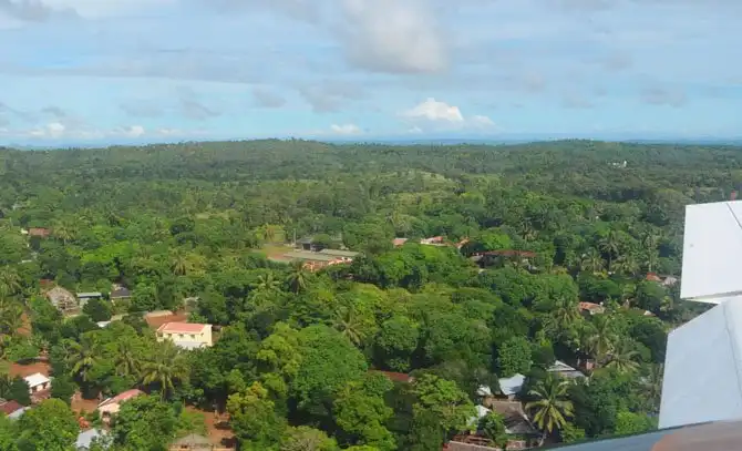 Как выращивают ваниль на Мадагаскаре