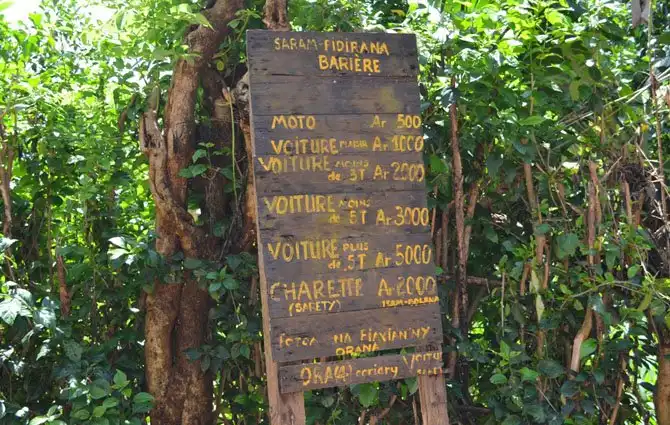 Как выращивают ваниль на Мадагаскаре