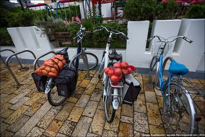 Город трущоб и одной приличной улицы