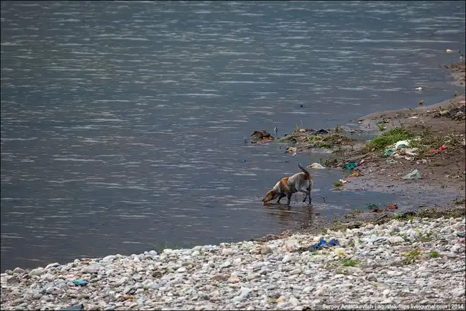 Город трущоб и одной приличной улицы