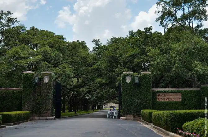 Как проходит процесс обучения в американском вузе