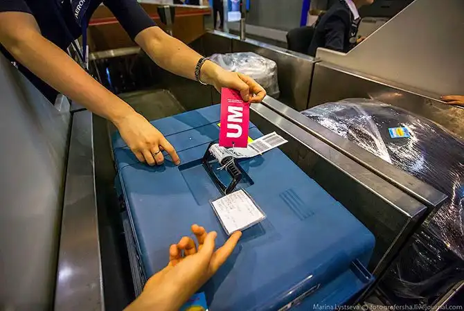 Как перевозят животных в самолете