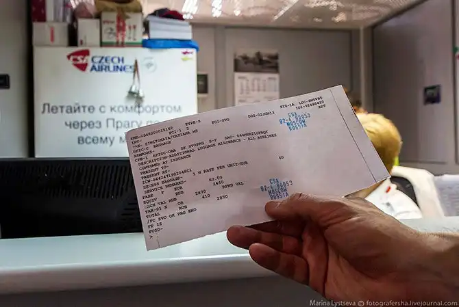 Как перевозят животных в самолете