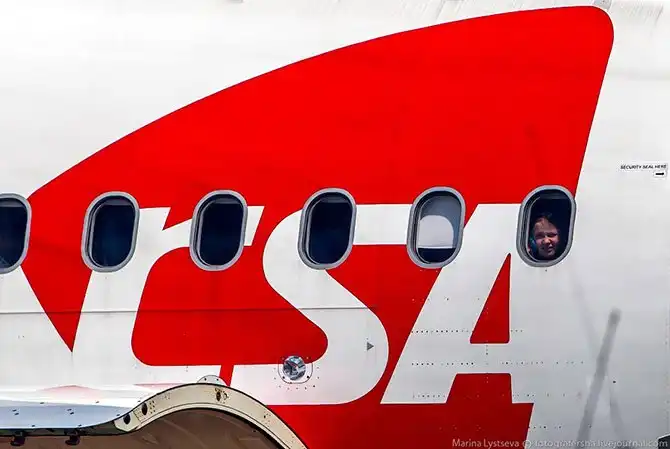 Как перевозят животных в самолете