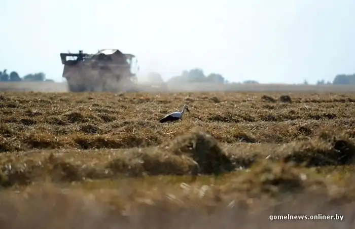 Угадайте, кем работает эта девушка