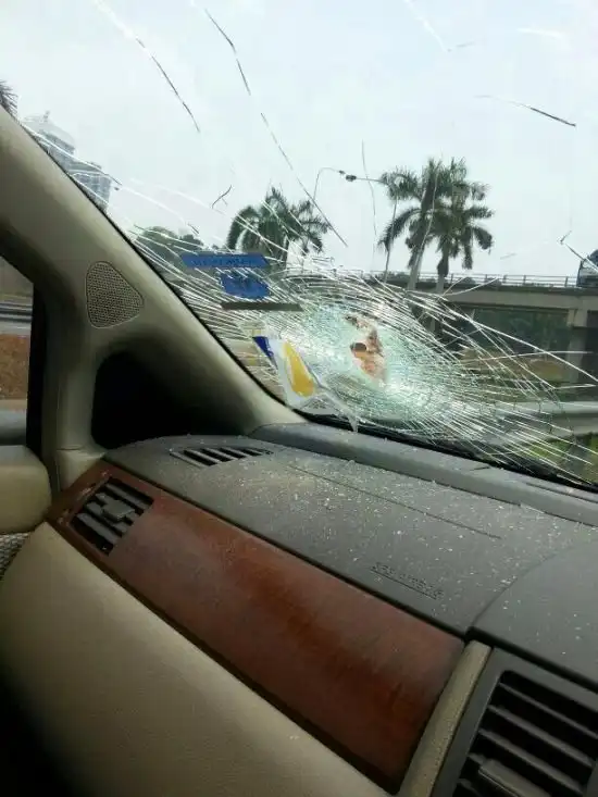 Мама и сын родились в рубашке