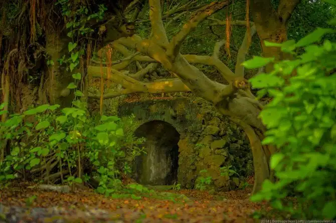 Прогулка по портовой столице Тайваня