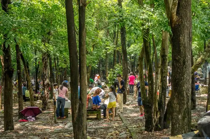 Прогулка по портовой столице Тайваня