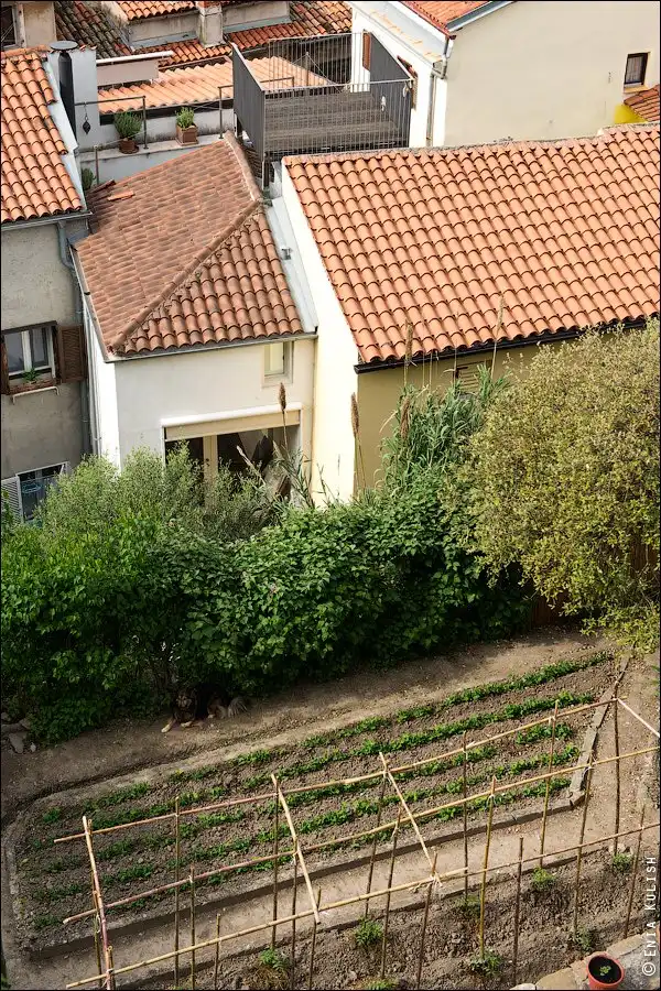 Прогулка по небольшому словенскому городоку