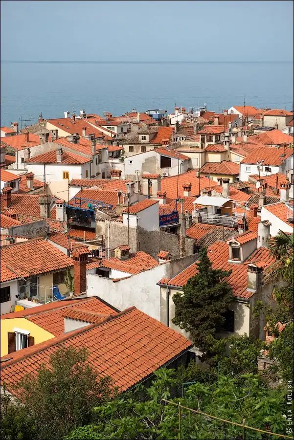 Прогулка по небольшому словенскому городоку