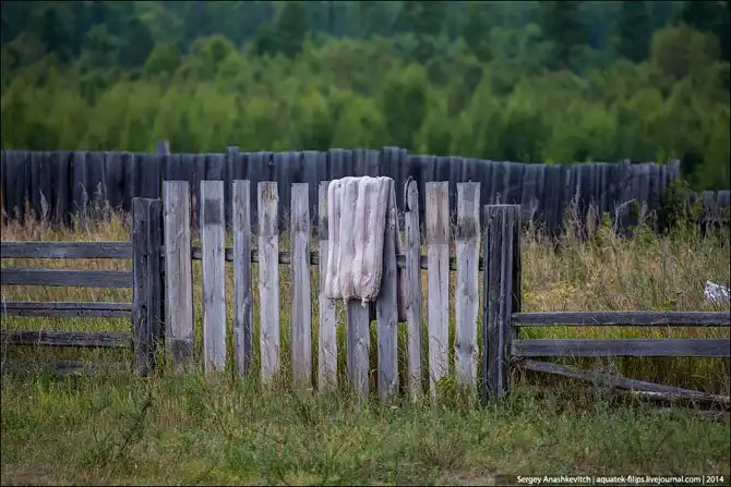 Контрасты байкальской жизни