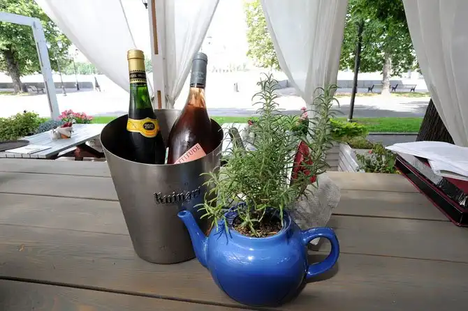 Как следует наслаждаться превосходным вином