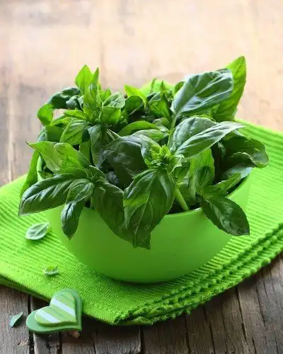 10 лучших продуктов, которые зарядят вас энергией и помогут похудеть