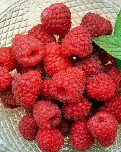 10 лучших продуктов, которые зарядят вас энергией и помогут похудеть