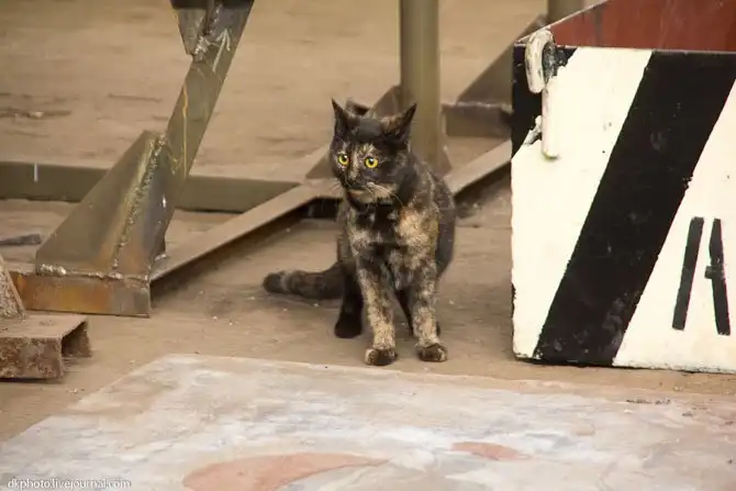 Как строят военные корабли