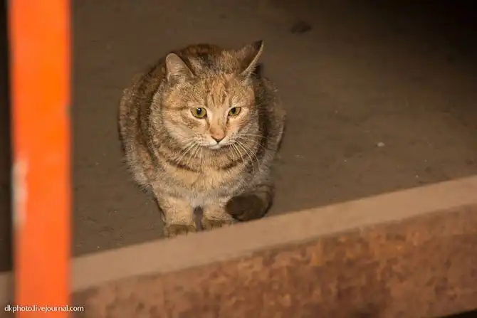 Как строят военные корабли