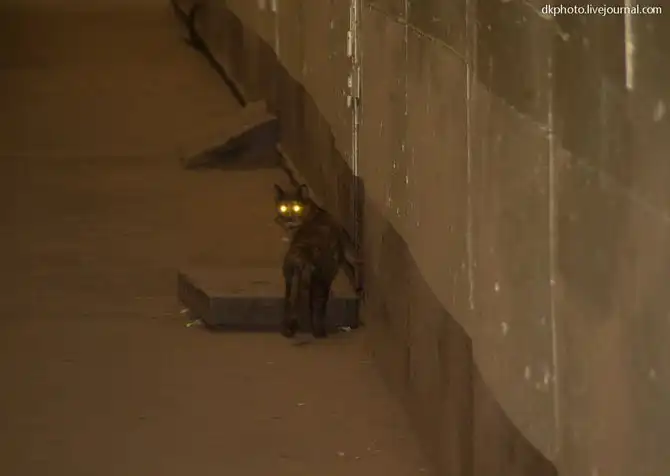 Как строят военные корабли