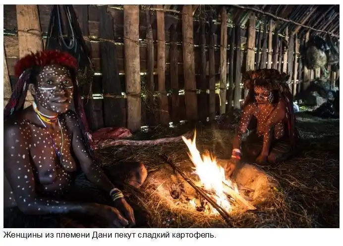 Народ Дани: жизнь по традициям каменного века в современном мире