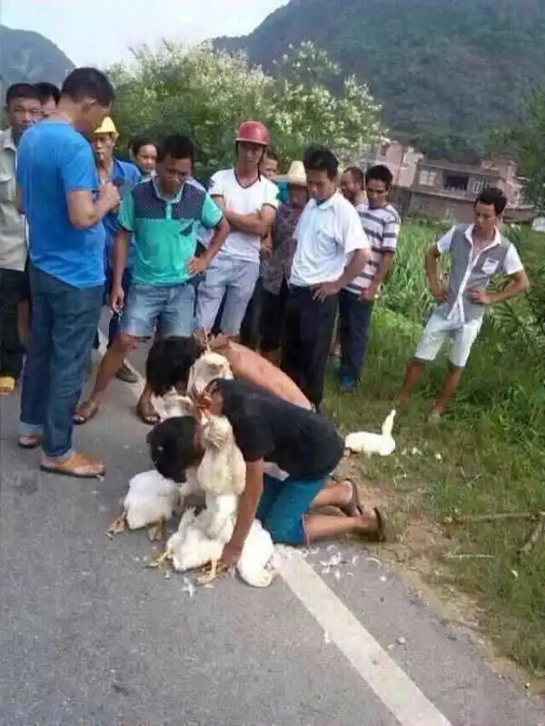 Как наказать детишек, укравших у фермера уток