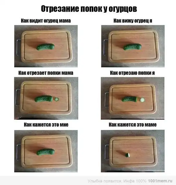 Отрезают Член