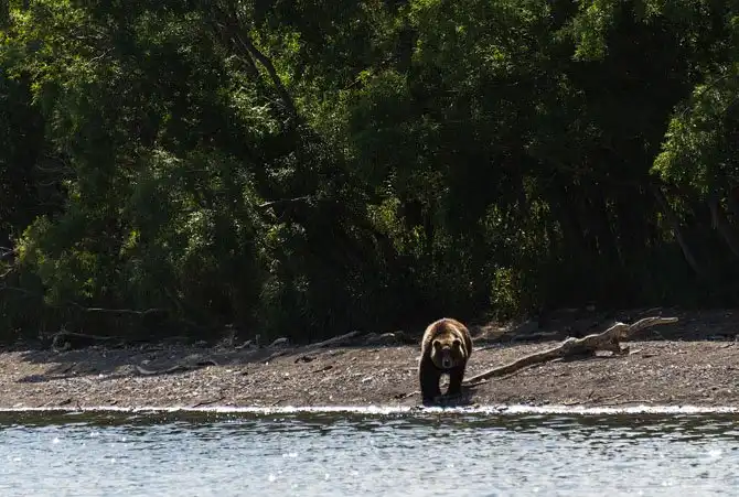 Путешествие по Камчатке
