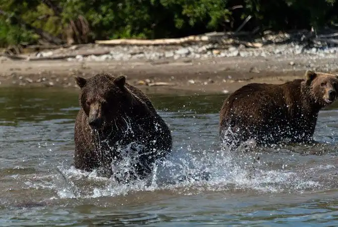 Путешествие по Камчатке