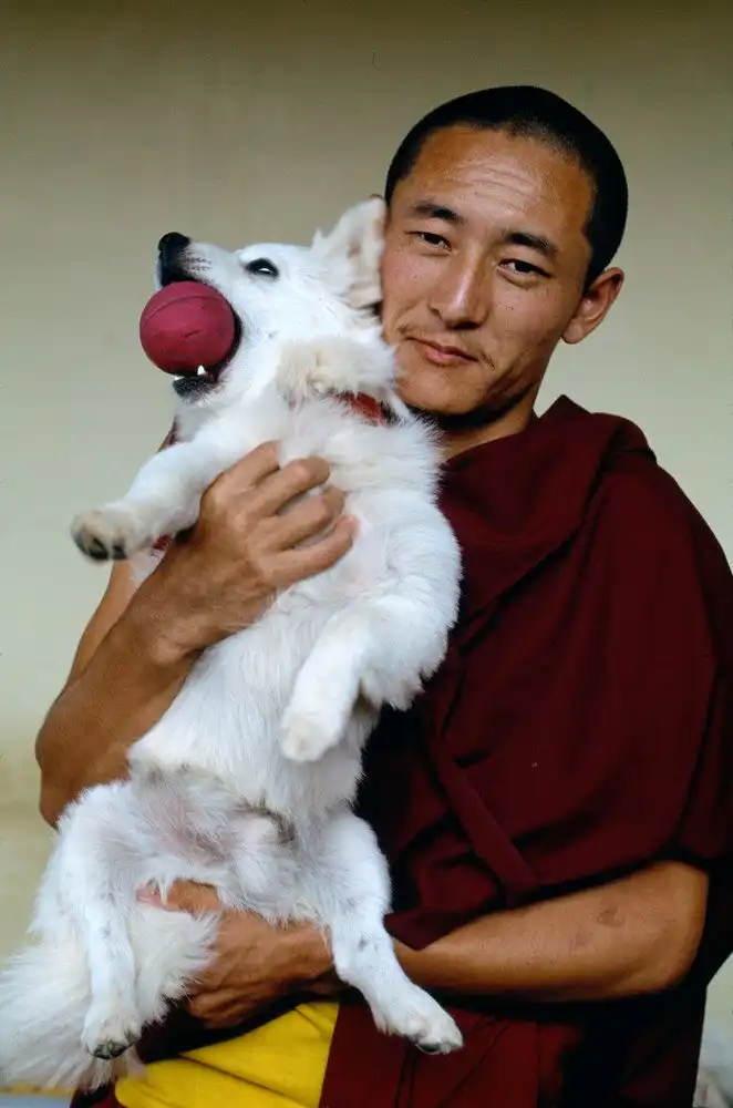 Серия фотографий легендарного Стива МакКарри «Сила игры»