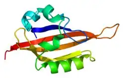 10 самых таинственно одарённых людей в мире