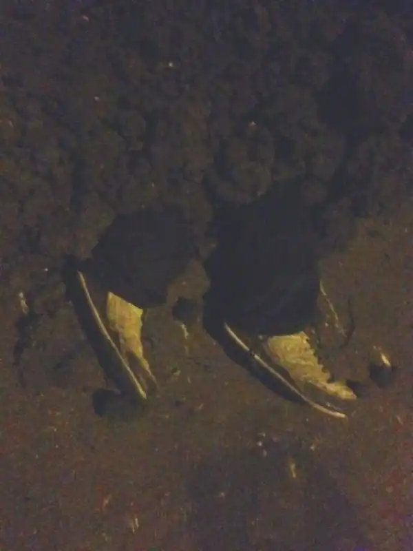 Пошутила над строителями