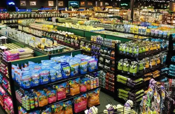 10 вещей, которые можно купить вместо нового iPhone