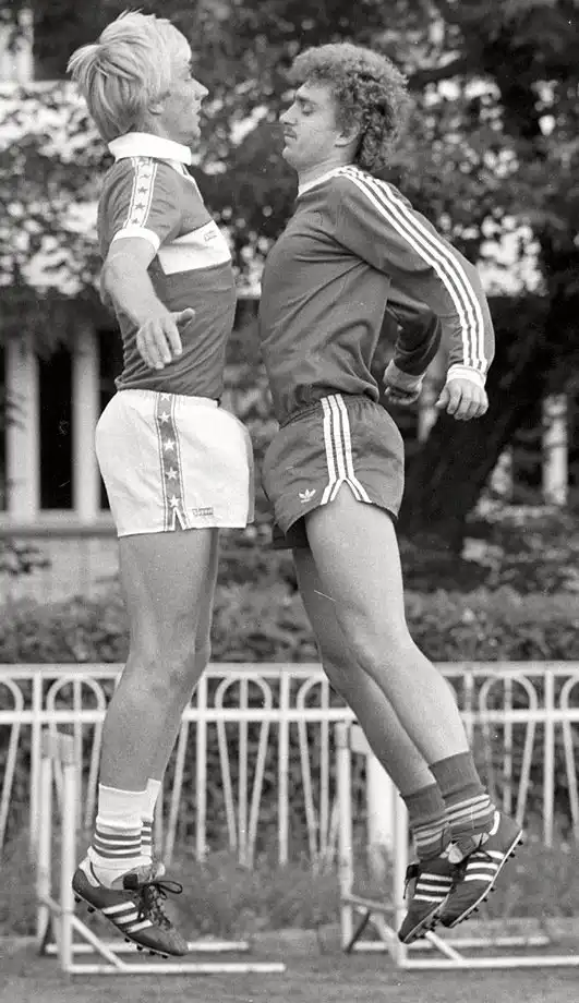 Прощайте, Мастер…