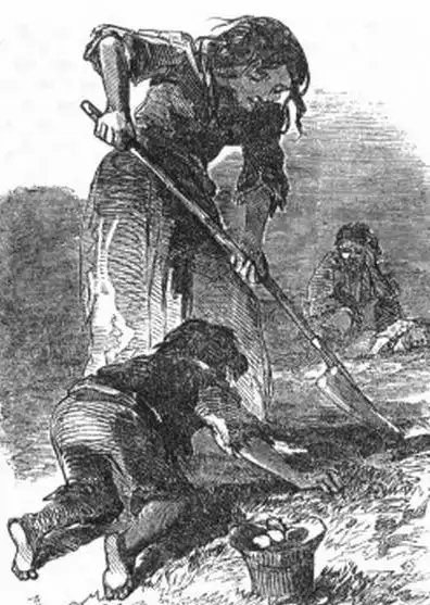 Эта уродливая, нищая, варварская Европа