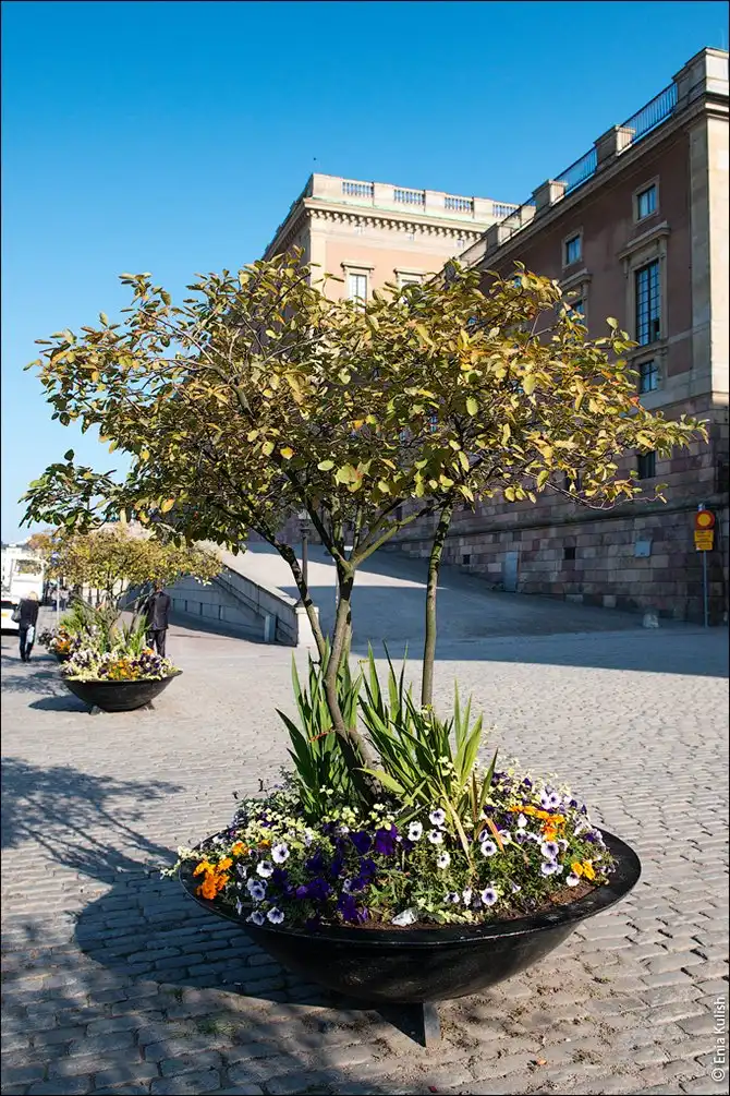 Экскурсия по Стокгольму