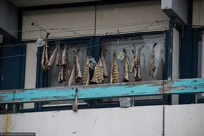 Как живут люди в Гренландии