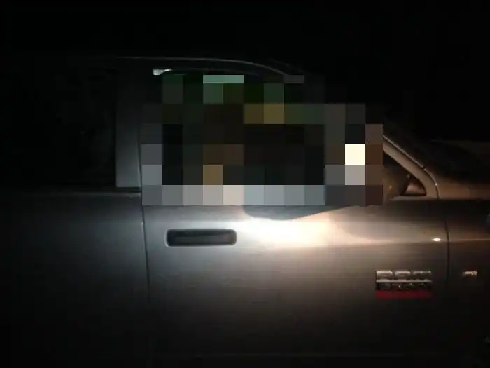 Медведица и медвежонок переночевали в машине