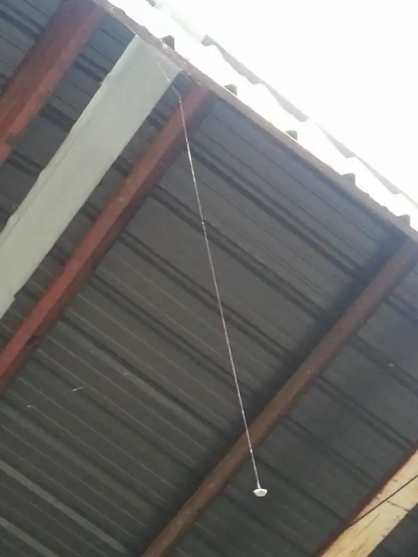 Паук-инженер и необычная паутина