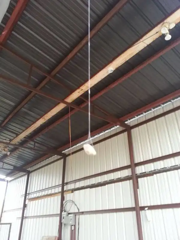 Паук-инженер и необычная паутина