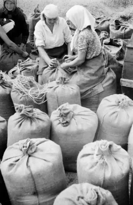 Быт украинского села начала 50-х годов