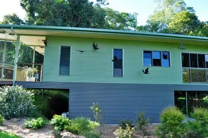 В Австралии работает больница для летучих мышей