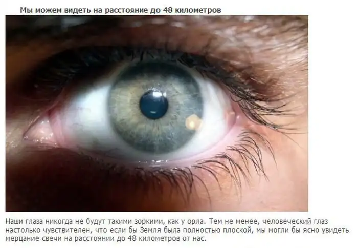 Топ-20 фактов о нашем теле