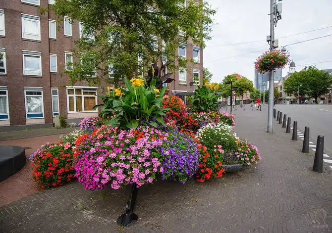 Прогулка по Гааге