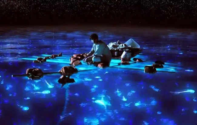 20 фильмов с неповторимым визуальным стилем