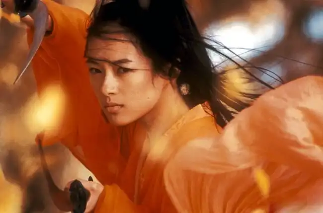 20 фильмов с неповторимым визуальным стилем