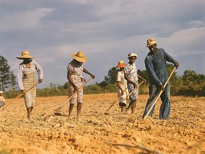 Америка во время первого экономического кризиса