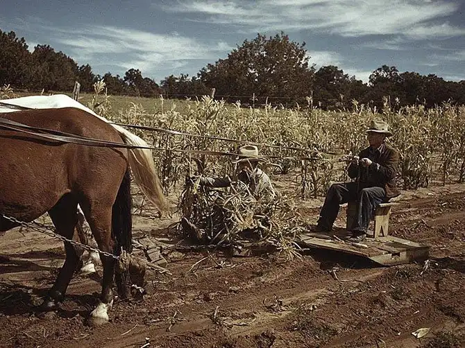 Америка во время первого экономического кризиса