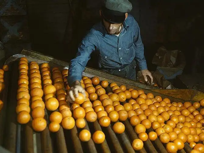 Америка во время первого экономического кризиса