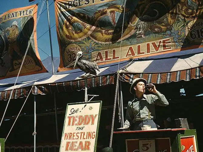 Америка во время первого экономического кризиса