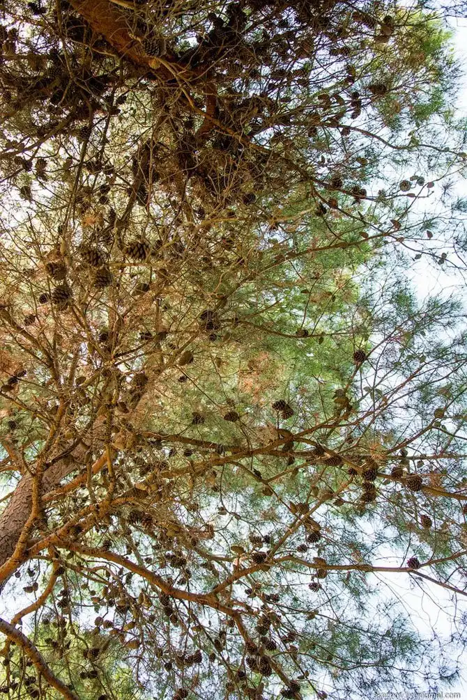 Прогулка по цветной жемчужине Адриатики